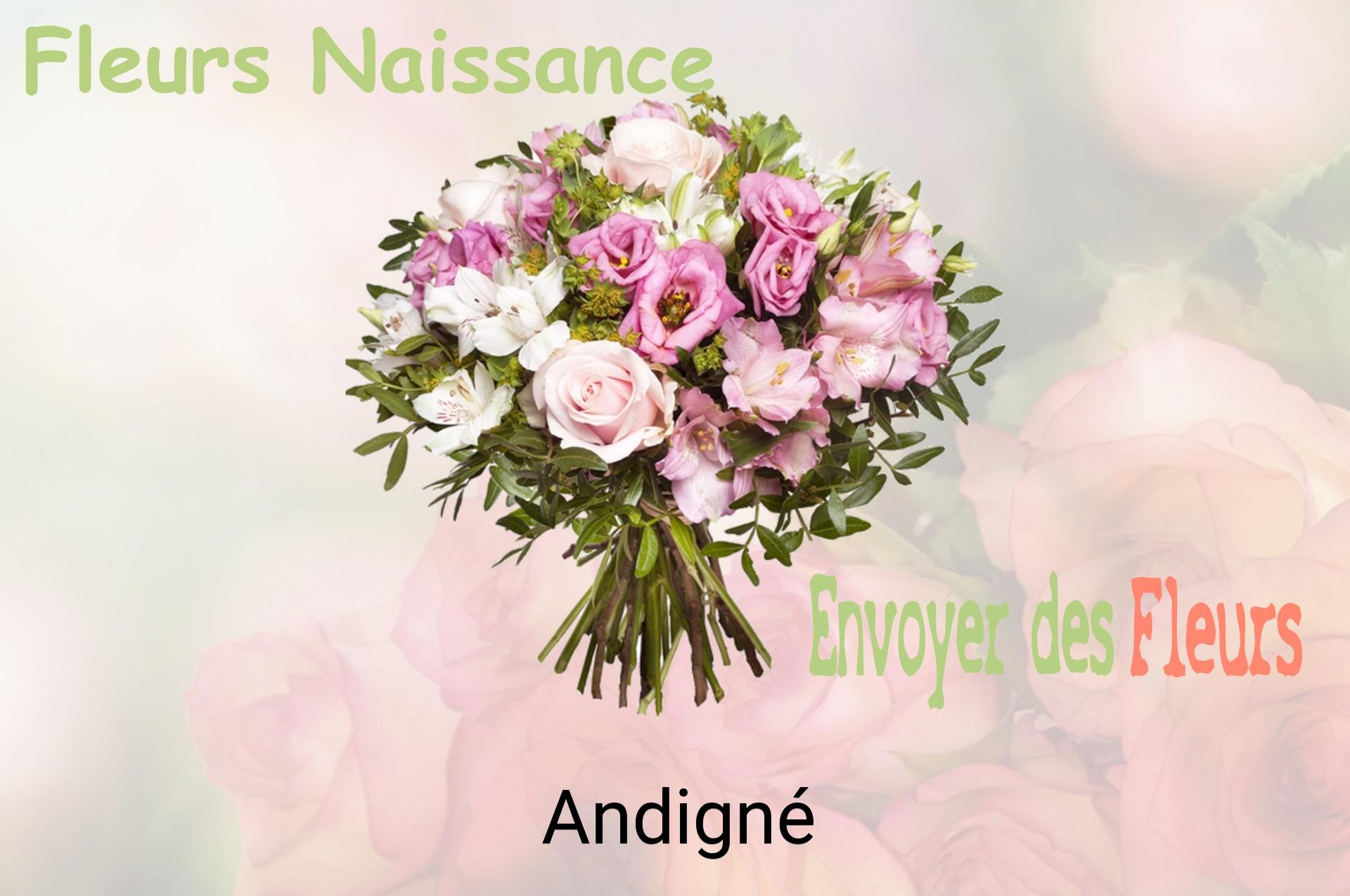 Bouquet de fleurs de naissance livré à Andigné